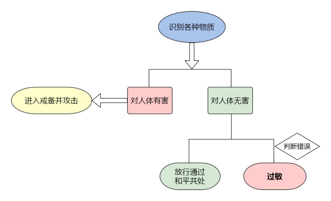 过敏性疾病自愈的秘诀,世界过敏日谈过敏