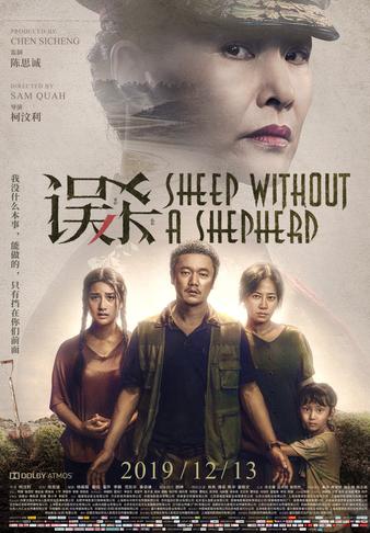 比误杀还好看的国产电影,电影推荐大片误杀9.0以上评分