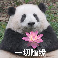 沙雕搞笑表情包头像,沙雕搞笑表情包图片静图