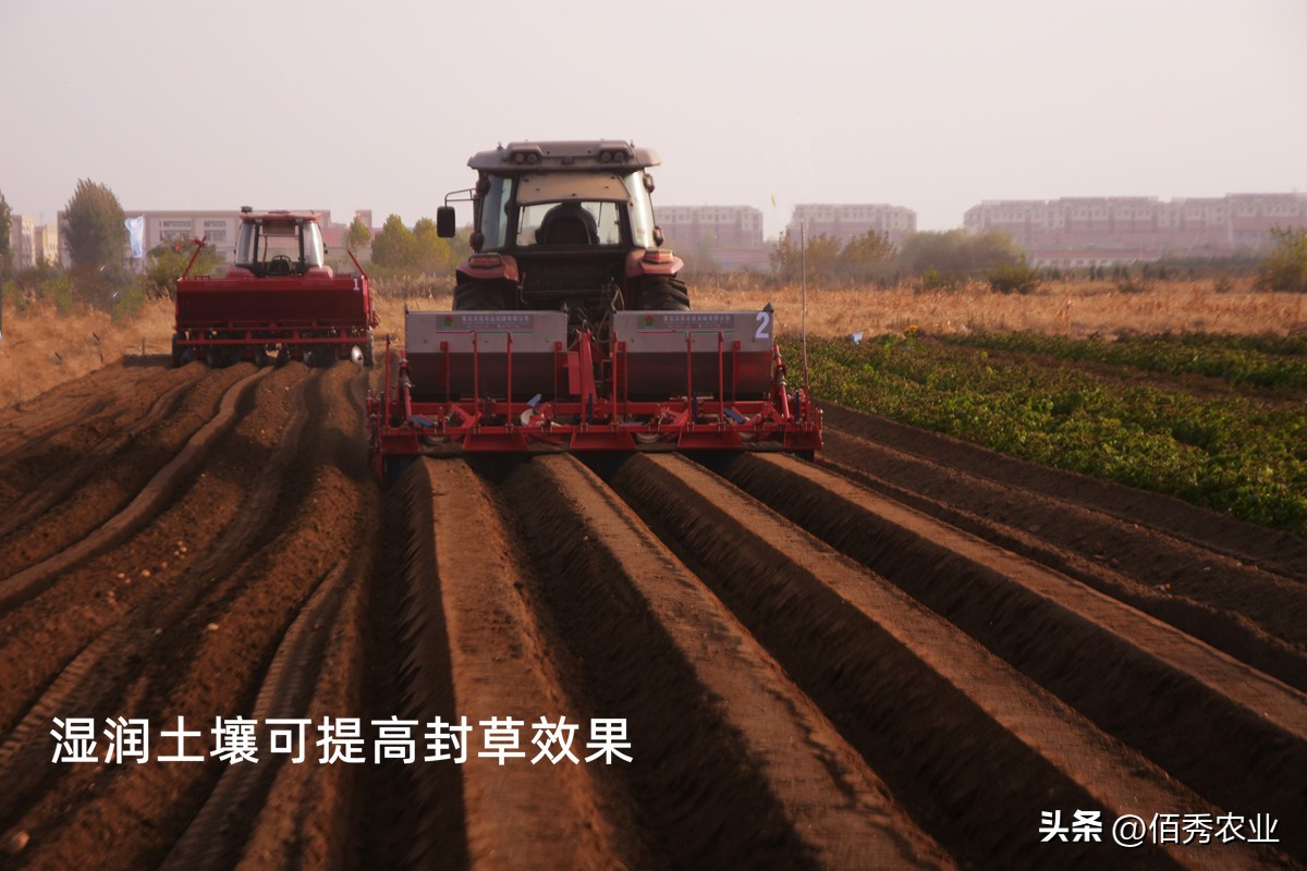 二甲戊灵是什么除草剂,二甲戊灵除草剂优缺点