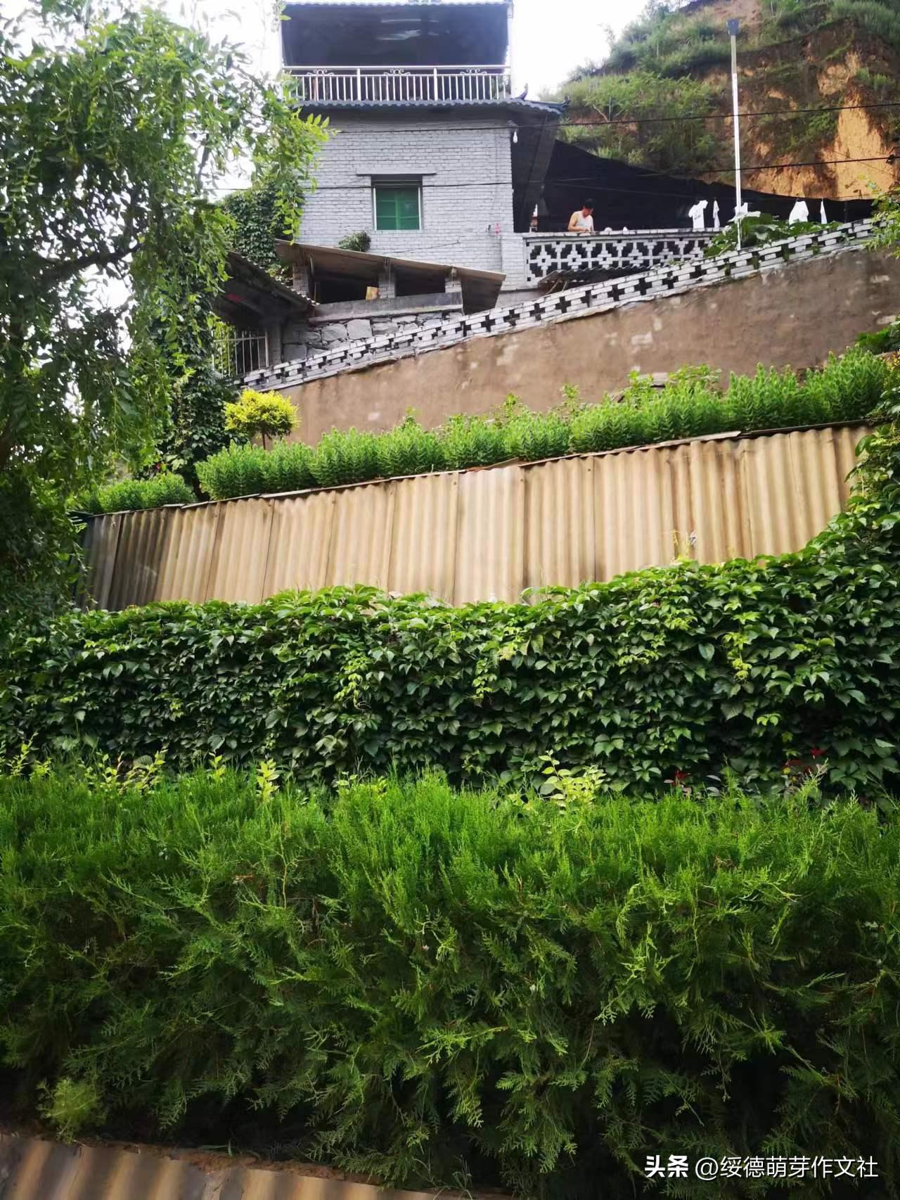 绥德李强国：从高舍硷到高石角