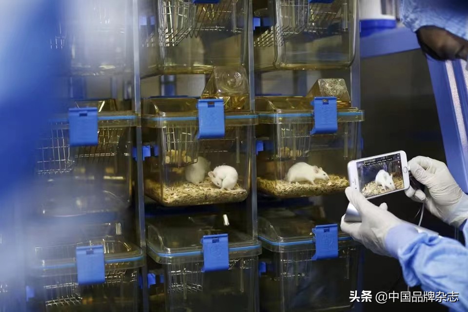 资本入局实验猴，实验动物迎来“夏天”