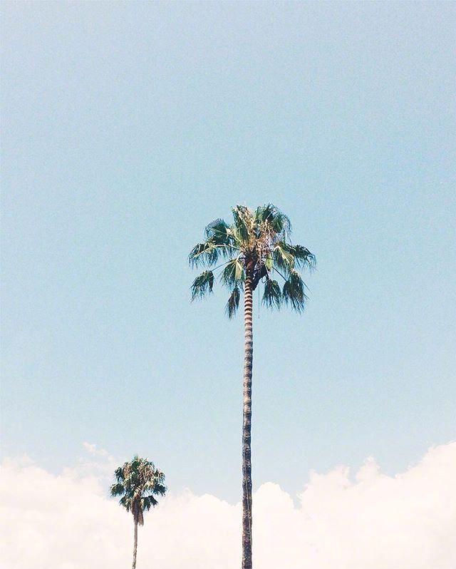 林徽因感叹人生的经典句子,感叹人生无奈心酸的句子朋友圈