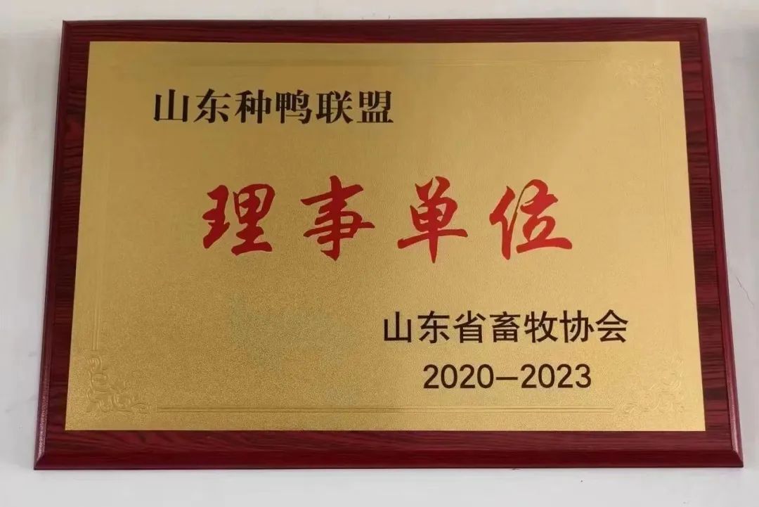 肉鸭养殖乡村振兴,肉鸭养殖与乡村振兴