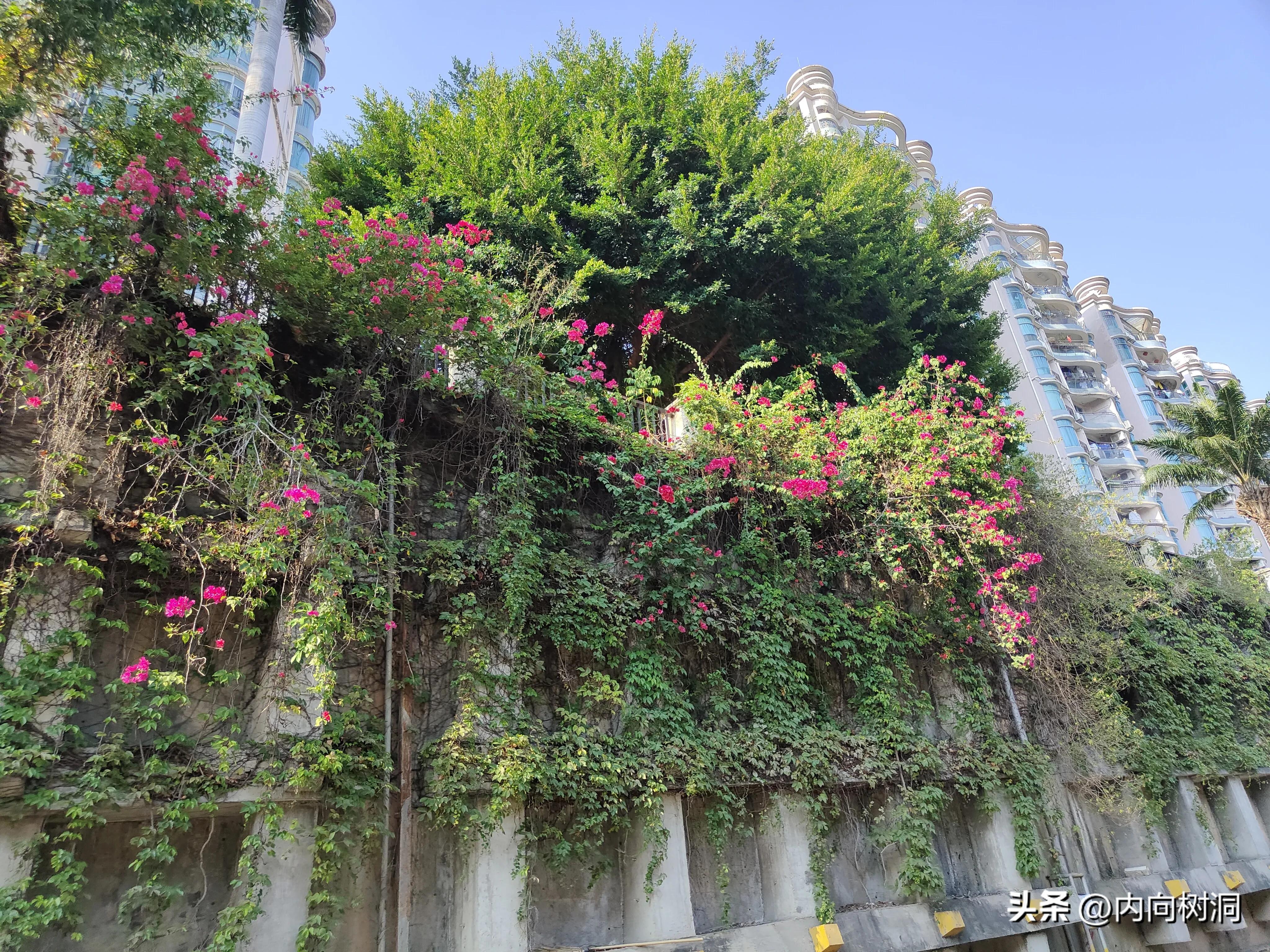 淘金山求水山徒步线路,求水山淘金山绿道在哪里