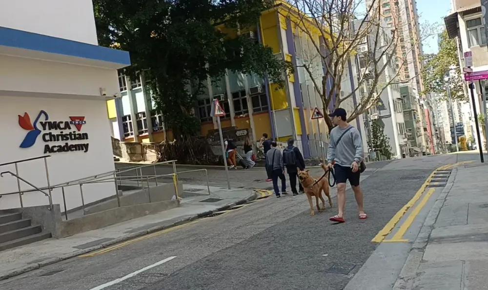 香港上环有什么好逛的吗,香港上环攻略