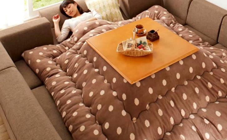 日本不安装暖气，最低气温零下30度怎么生活？看完后算是涨知识了