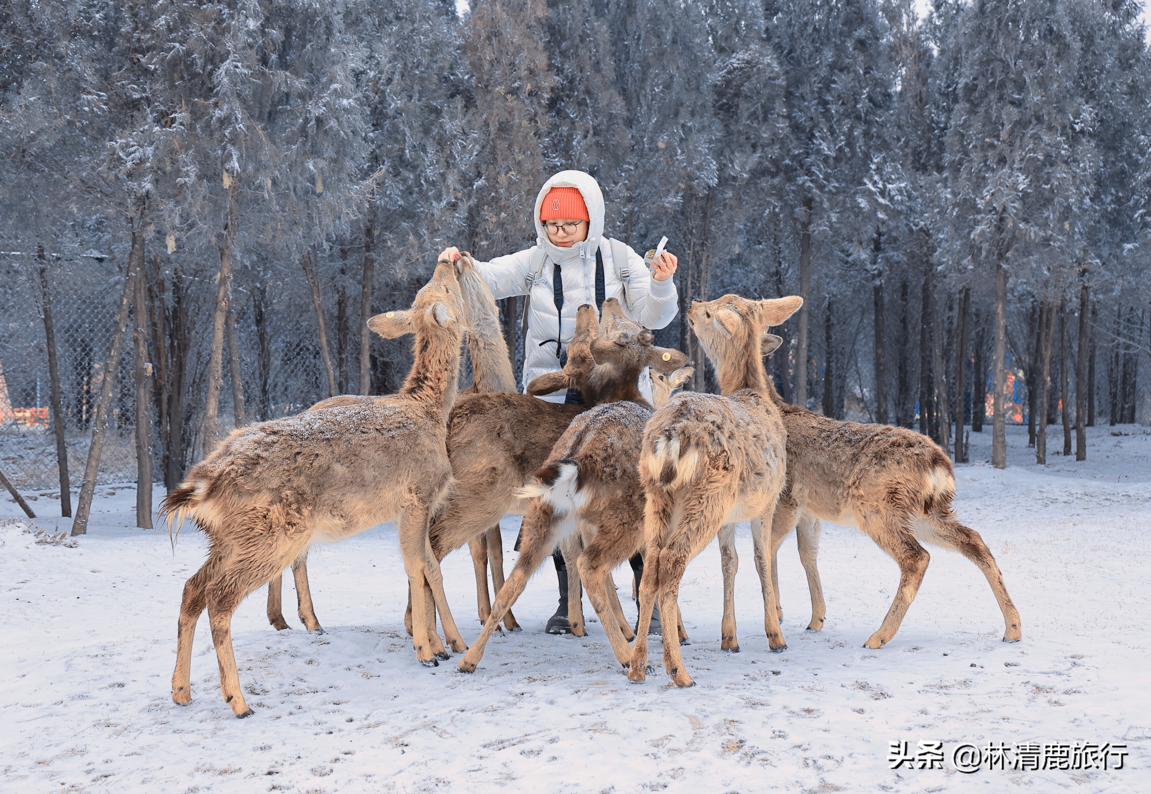 三日游推荐河南景区有哪些,河南旅游景点推荐2-3天云台山