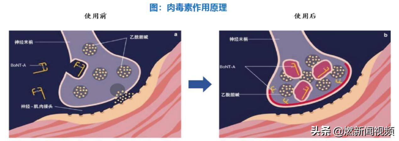 毛利率堪比茅台的上市公司,茅台健康产业公司简介