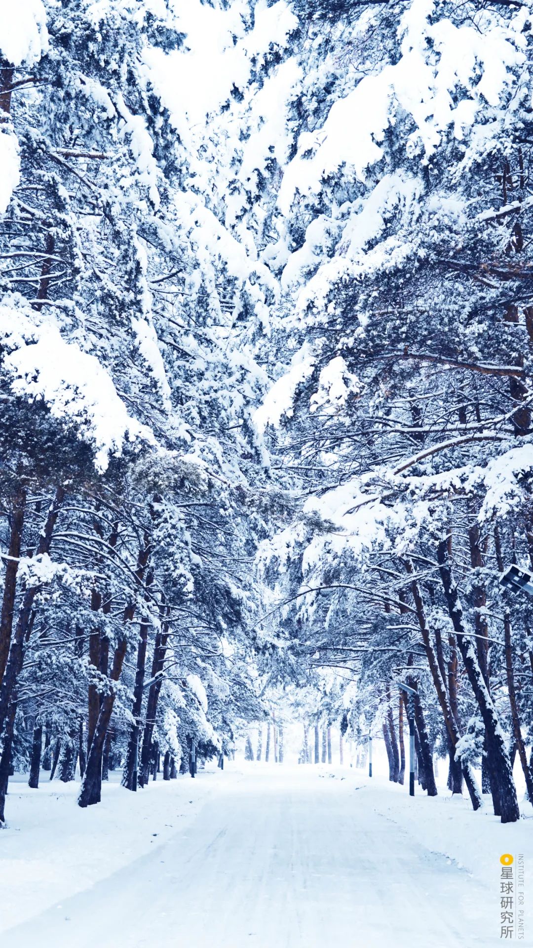 圣山龙脉,龙脉圣地黄帝陵