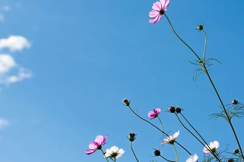 泸州一天的游玩攻略,泸州假期去哪里玩