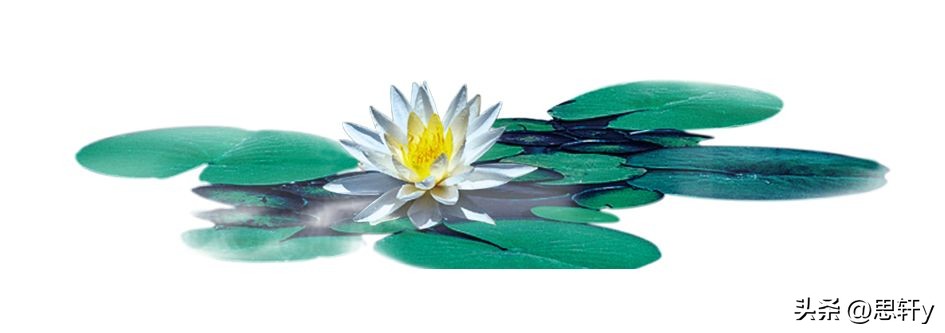 横死的人,横死的人会去哪里