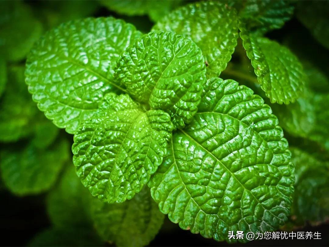 一味西药治痔疮效果最好,一味药治痔疮