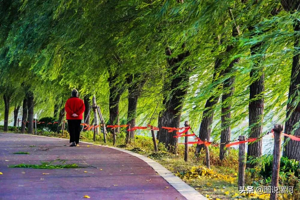 获奖摄影比赛作品,摄影比赛获奖名单公示