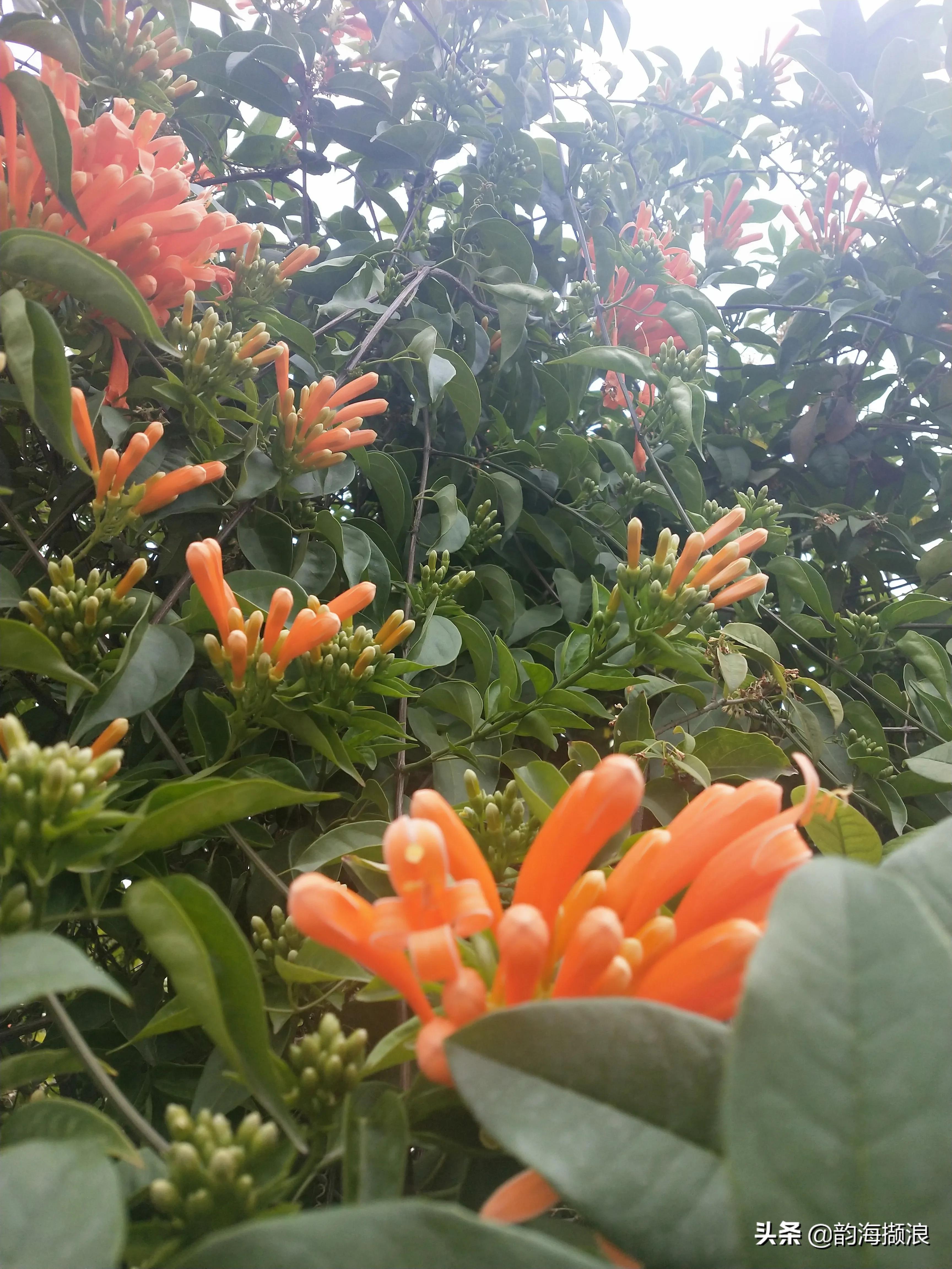 山城龙岩,龙岩风景区群山环绕