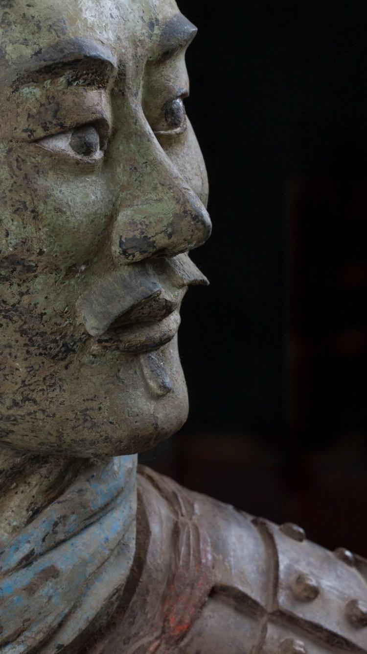 秦俑一号坑最新考古发现图片,偷偷考古发现秦俑是真的吗