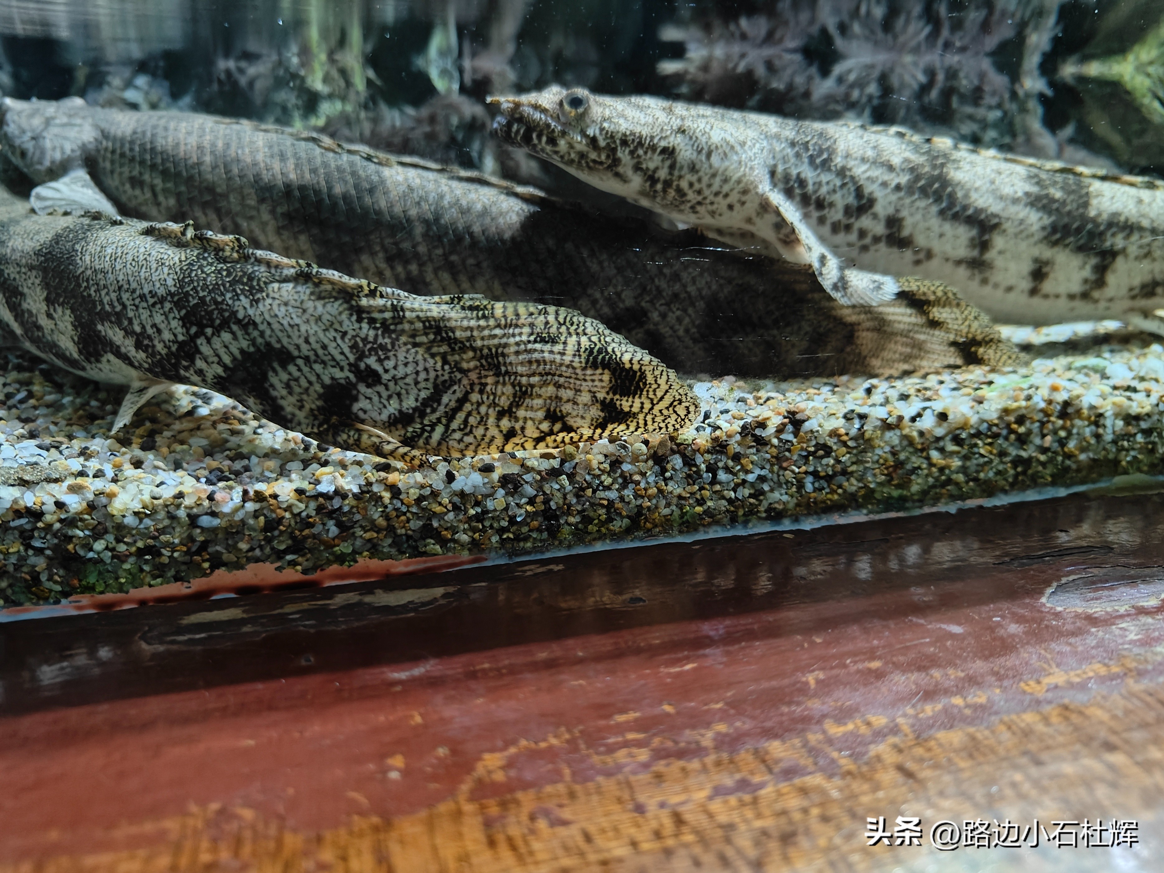 游逛人间,北京海洋馆旅游攻略