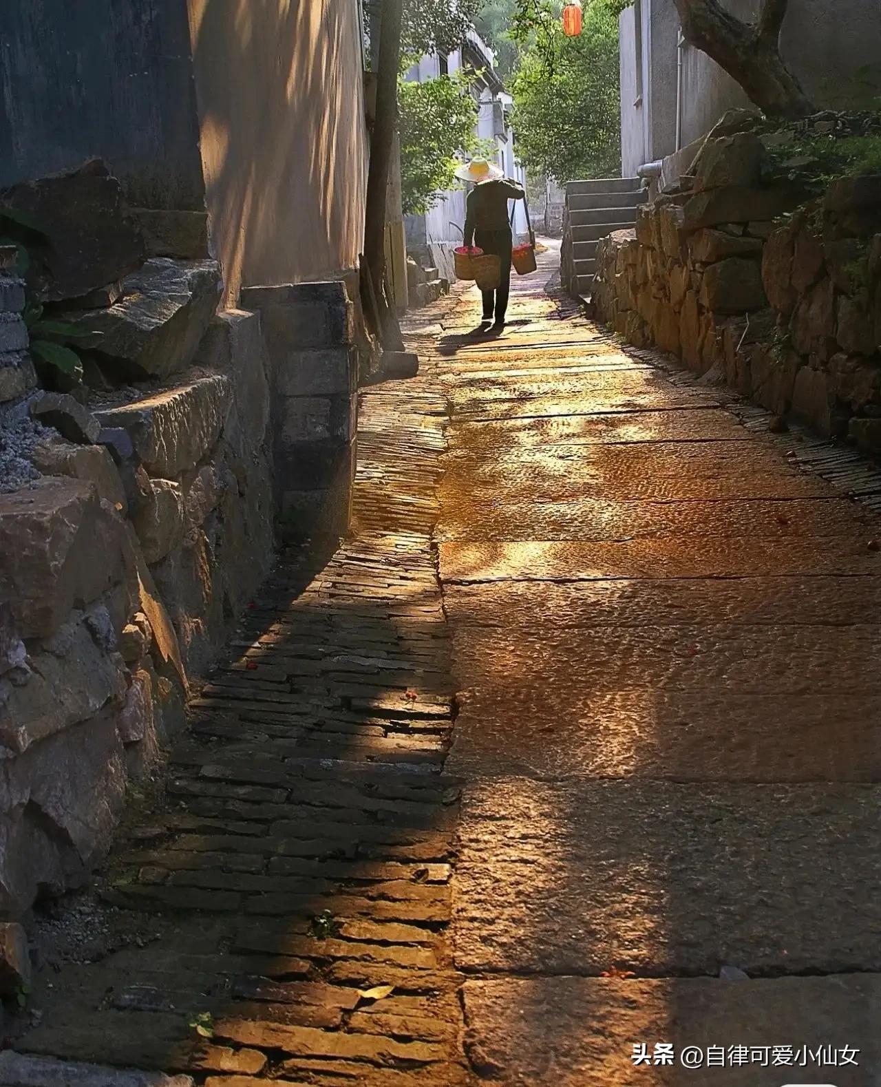 中国园林看江南江南园林看苏州,苏州园林江南园林甲天下