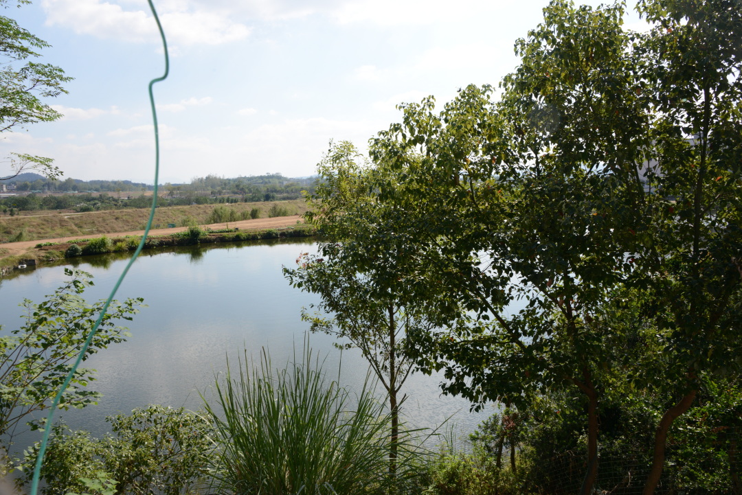 觅苏记,觅苏记宜兴海棠