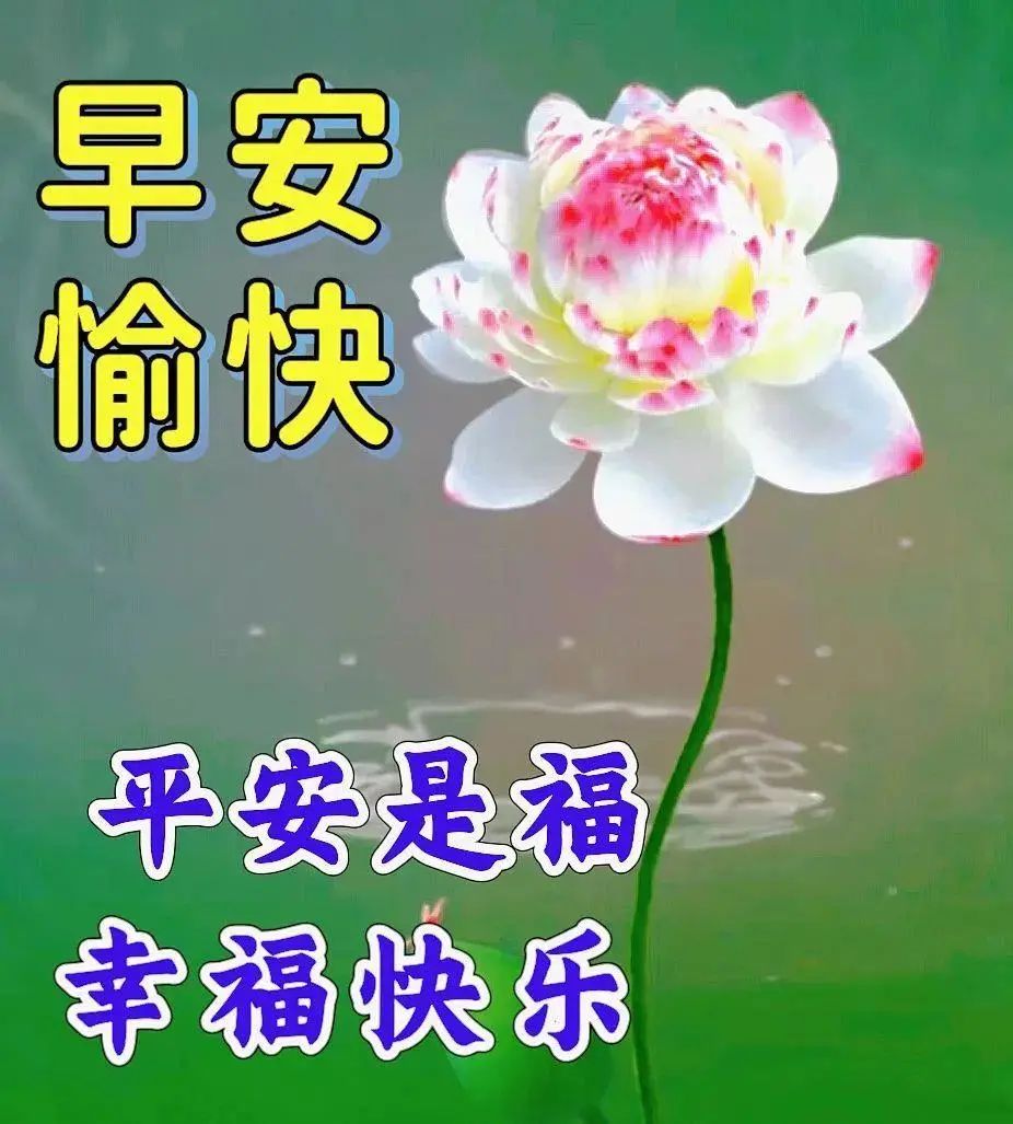 早安经典语录语句图片,早安经典语录及图片