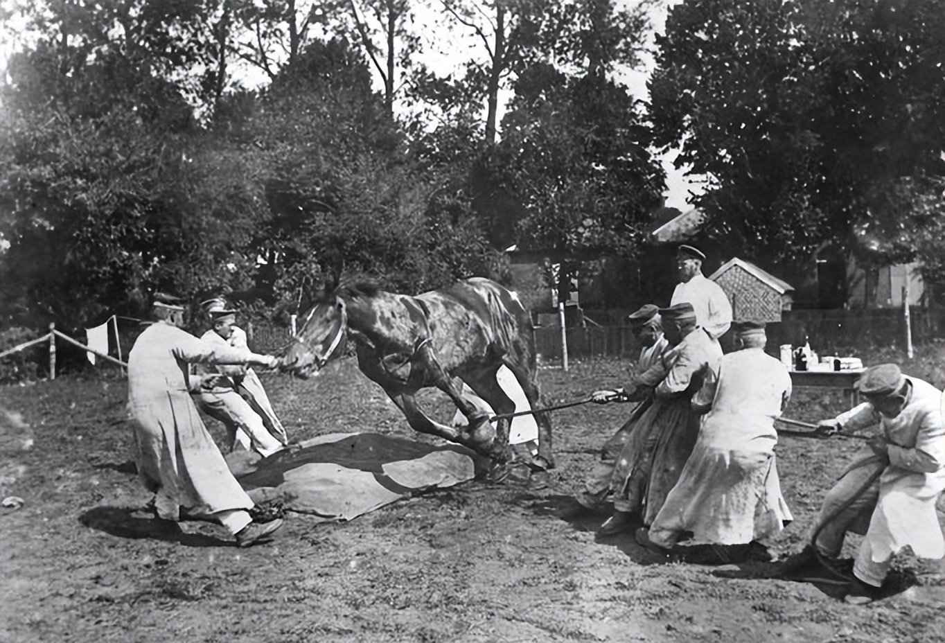 讲述二战时期美国对德国的战役,美国参战始末