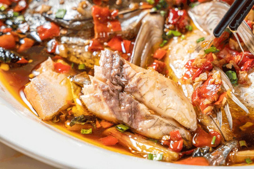 世界上有没有恐怖七鳃鳗,蛇形的鱼有哪些