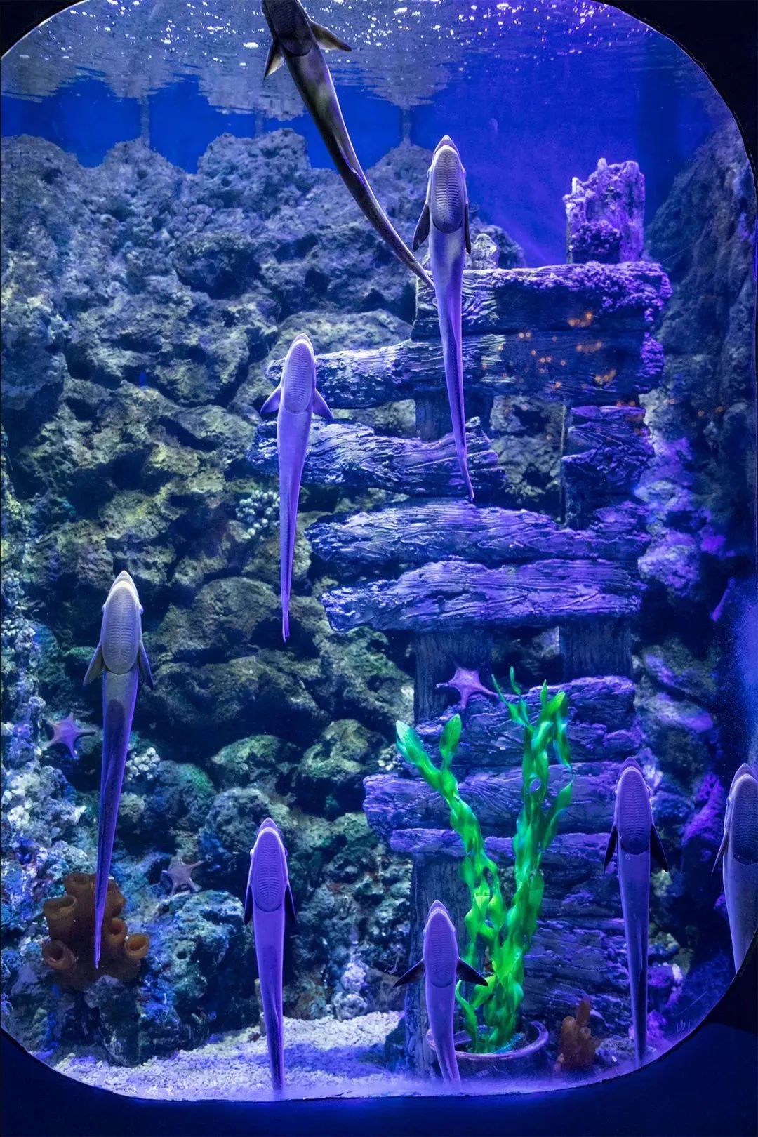 深圳小众好玩的景点排名榜,深圳小众海边旅游