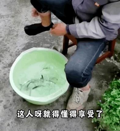 每日一笑这可真是神翻译,每日一笑钓鱼片段