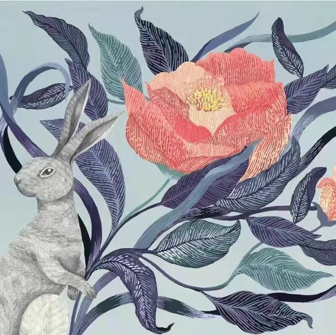 艺术家联名视频,艺术家联名ip直播