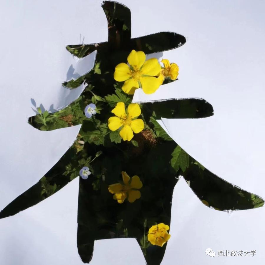 西法大到底是什么,西法大是什么意思网络用语