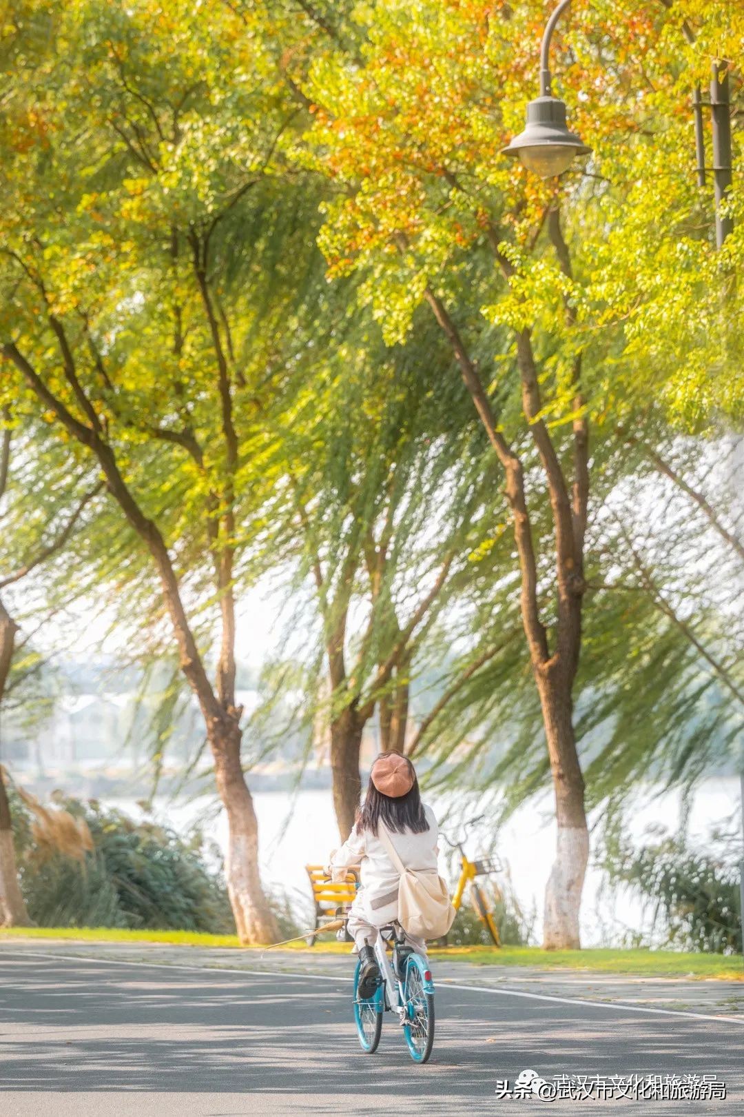 明天出太阳，到东湖捡叶子去！