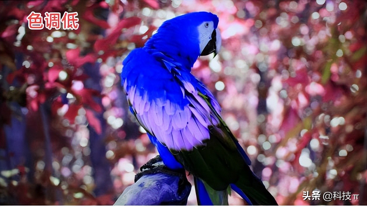 电视怎样调最佳图像,电视怎么调整显示比例