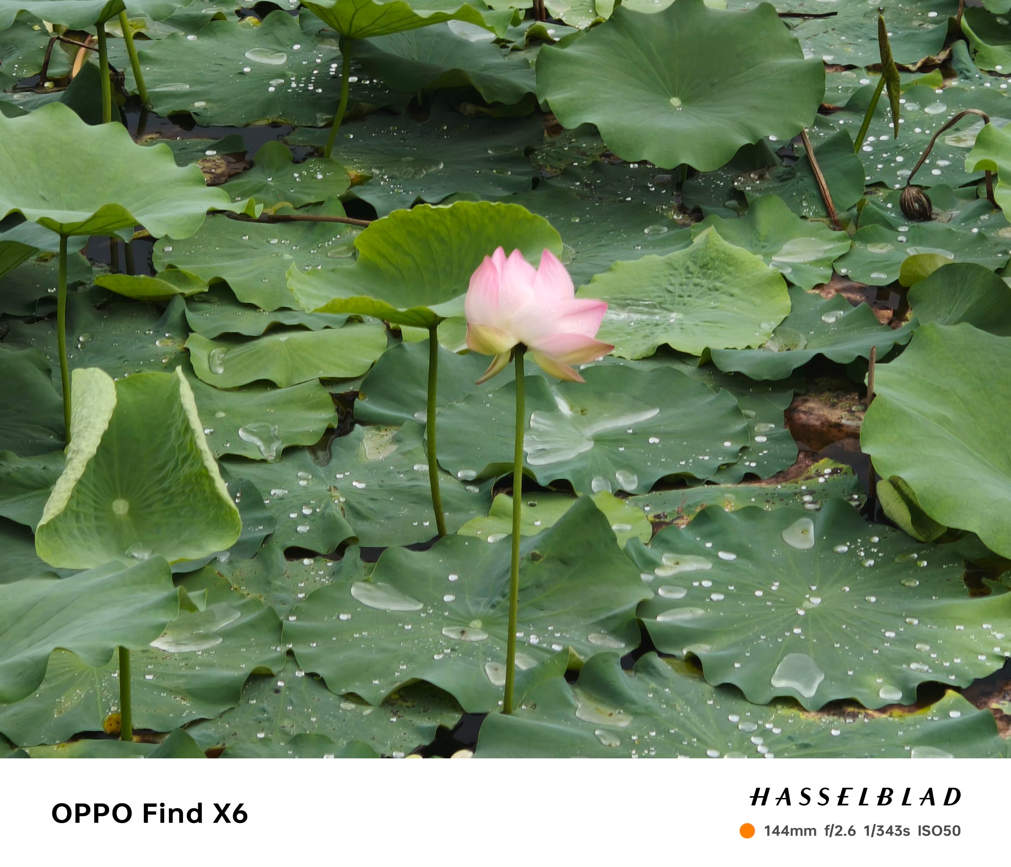 oppofindx6拍照真的很惊艳,oppofindx6pro超光三主摄