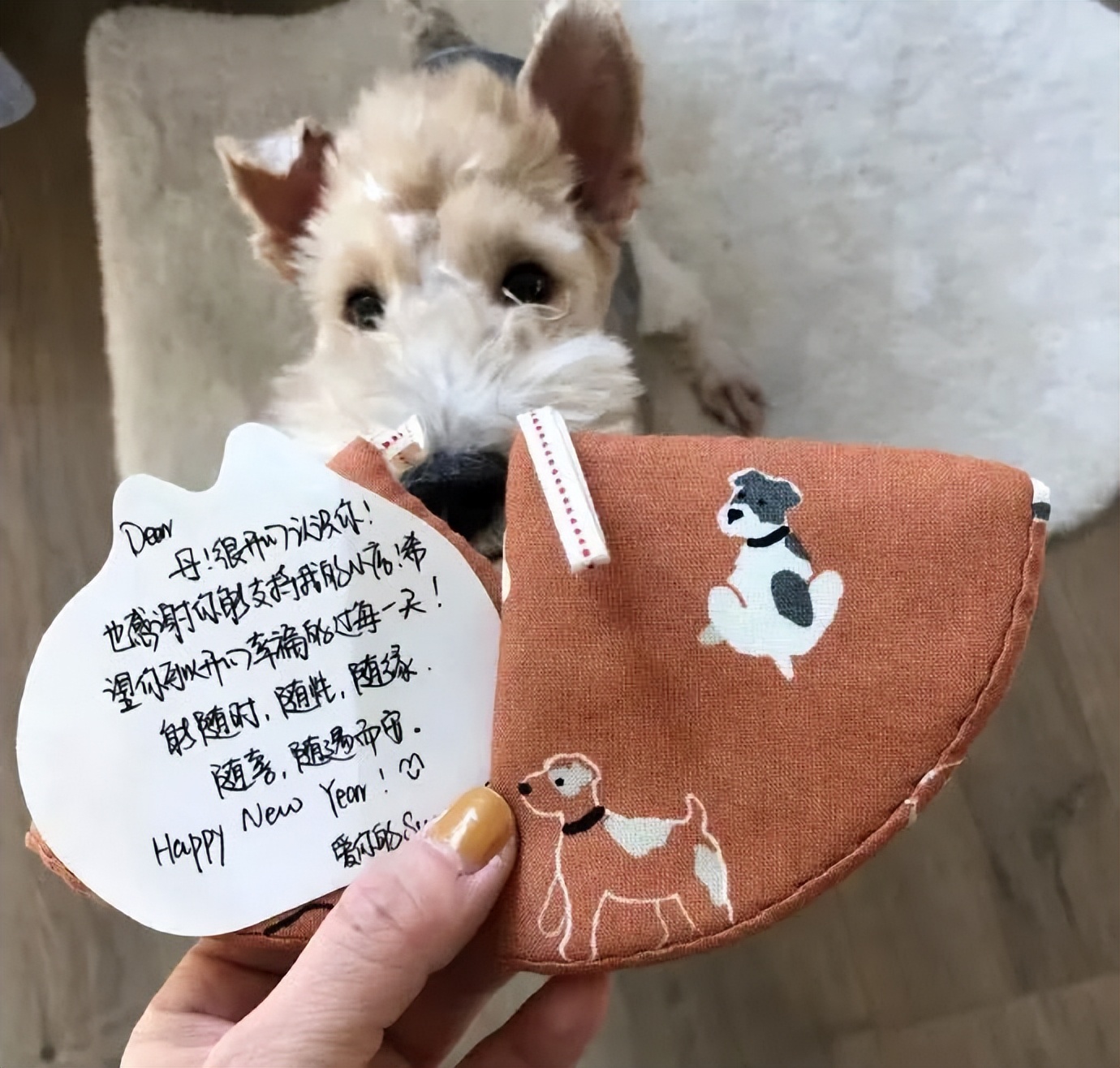 网课承受了太多社死|冷段子2365去年今日2008