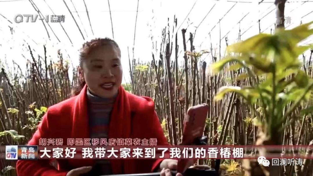 青岛全国旅游第一,青岛几个区消费排行