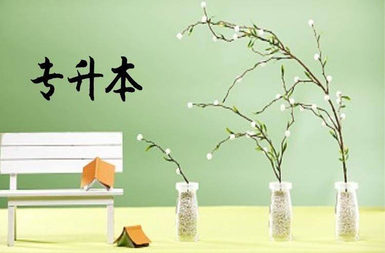 自考全日制本科与统招专升本区别,统招专升本第一学历为全日制本科