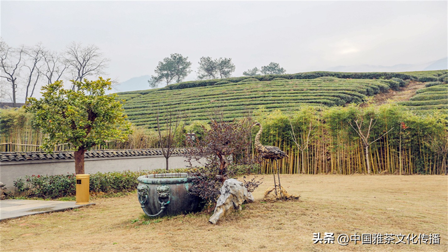 人生在世开心就好做喜欢的事,人生在世开心就好