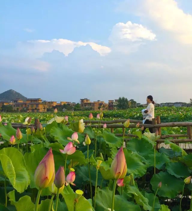 10个极具设计感的乡村改造,乡村创意改造景观