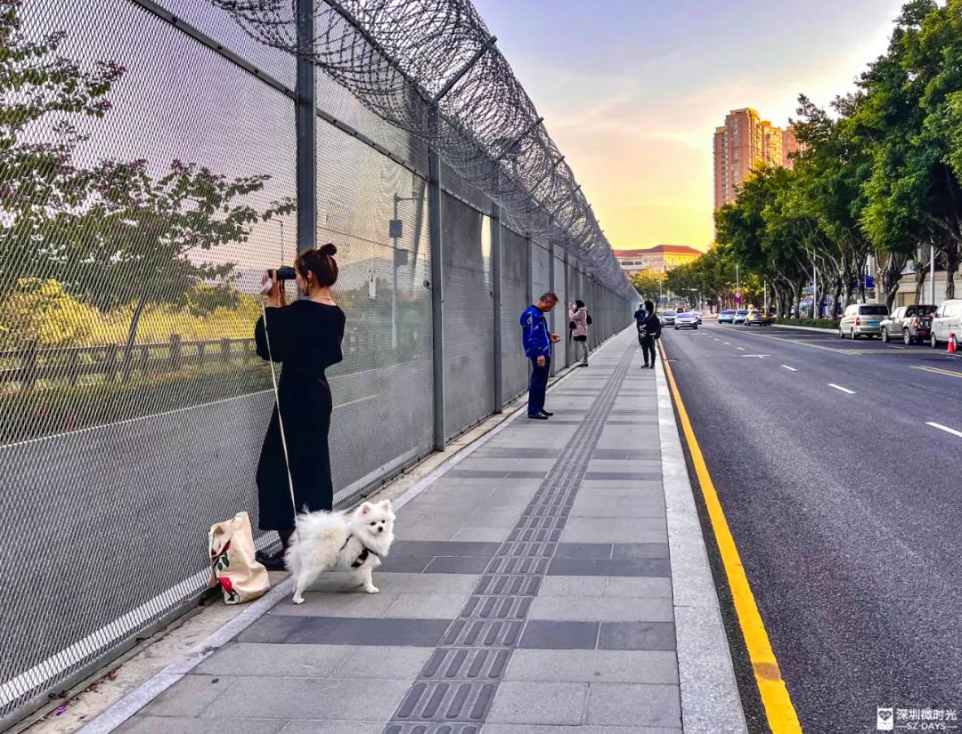 深圳24小时自助香港签证在哪里办,深圳人去香港怎么预约签证