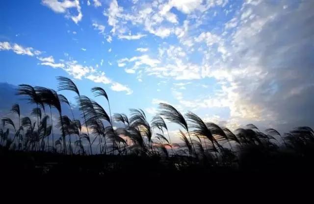 孩子吞了一块香皂,孩子误吞一块肥皂