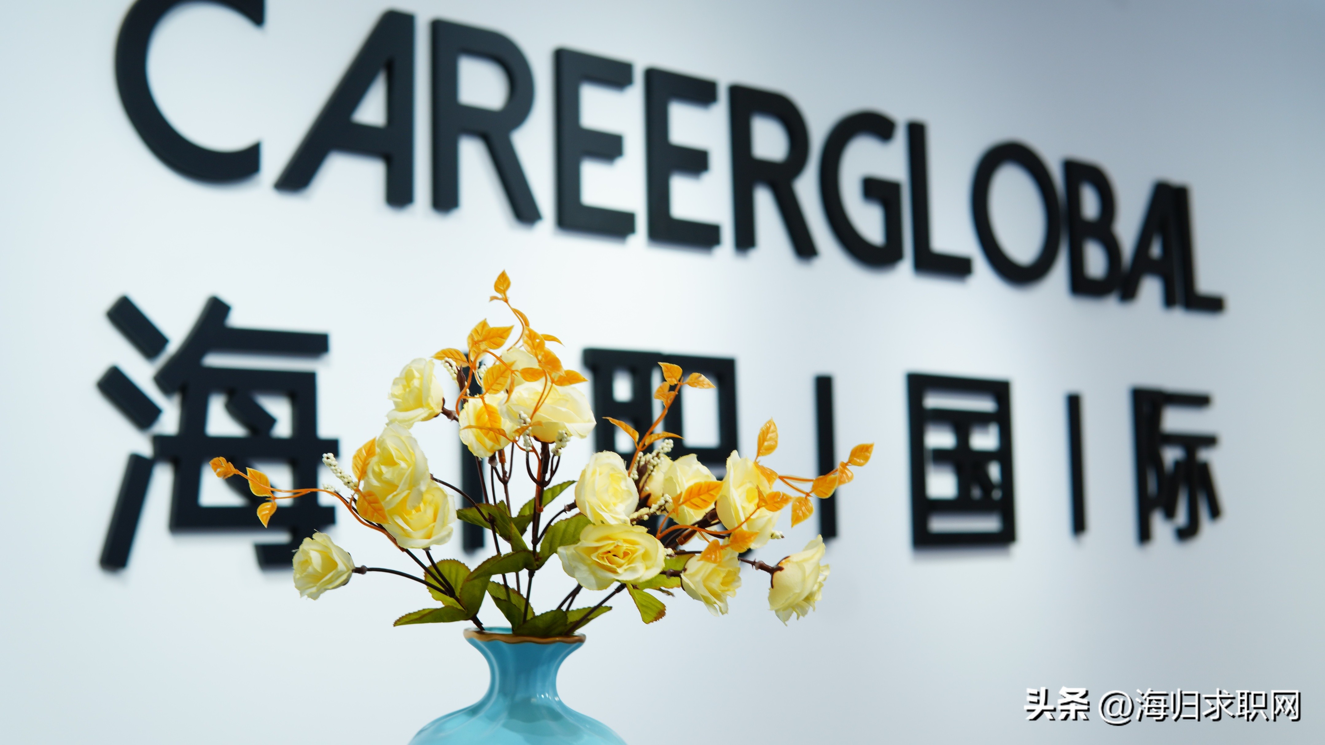雀巢求职官网,海归求职网careerglobal怎么样