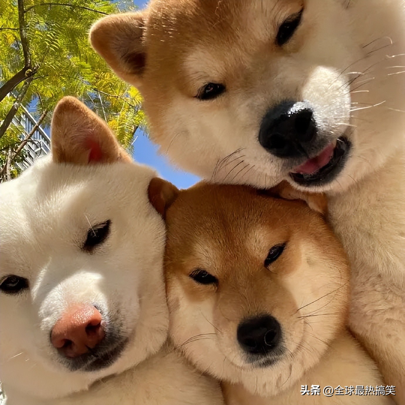 ppd检查是什么意思,做完ppt需要多久