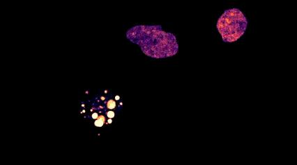 运动神经元显微镜观察内容与结果,显微镜下观察神经元的判断依据