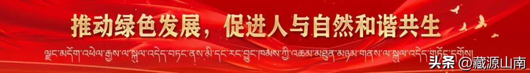 旅游景区新冠肺炎疫情防控宣传语,旅行社新冠肺炎应急预案