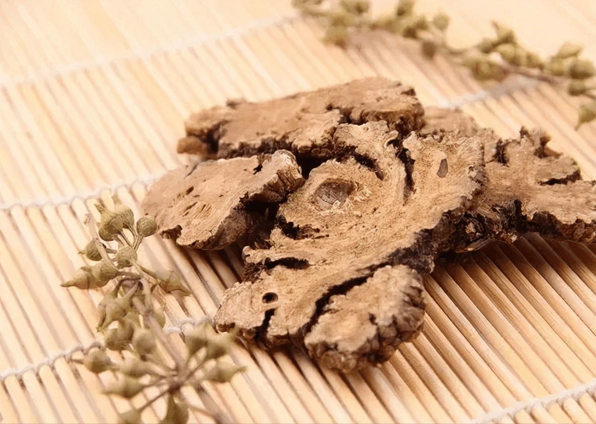 治疗湿热型胆囊炎的药,疏肝利胆治疗肝胆湿热中药方