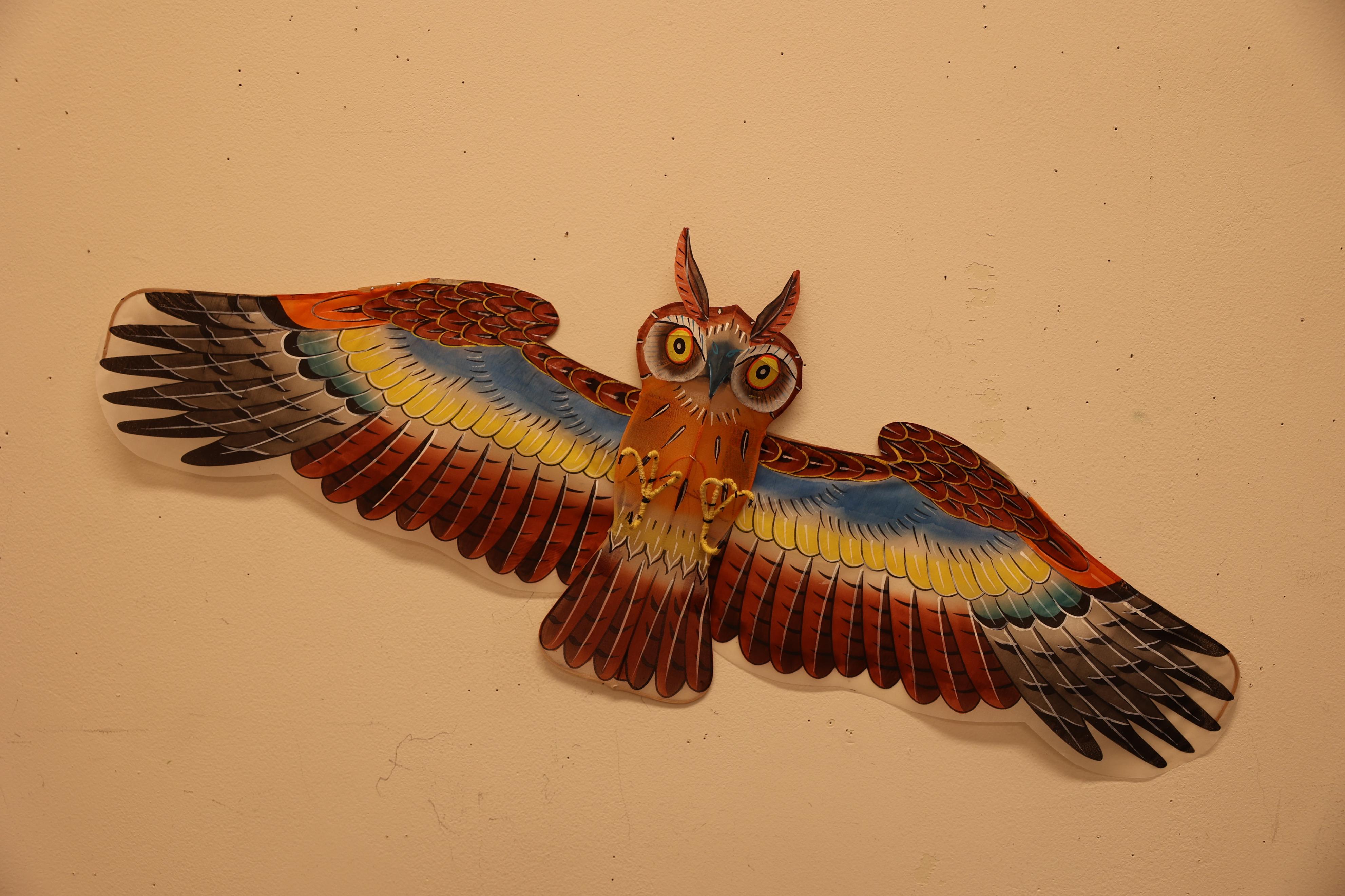 山东潍坊非遗文化年画,潍坊风筝是山东非遗项目吗