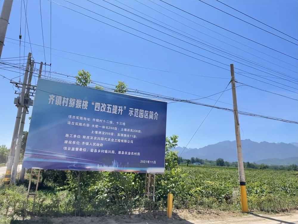 眉县齐镇村：1+12合并村集体经济融合发展驶入“快车道”