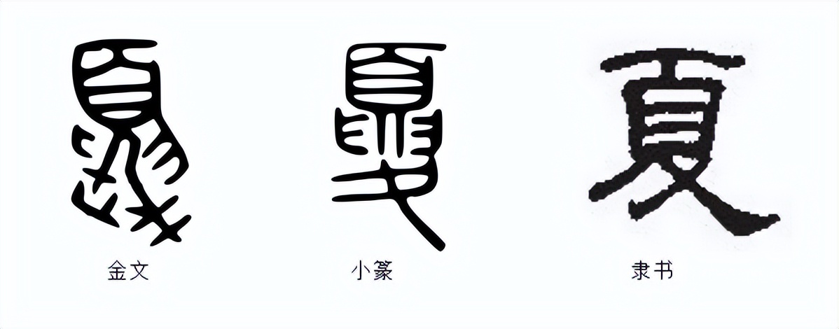 夏说文解字分析,夏说文解字的解释