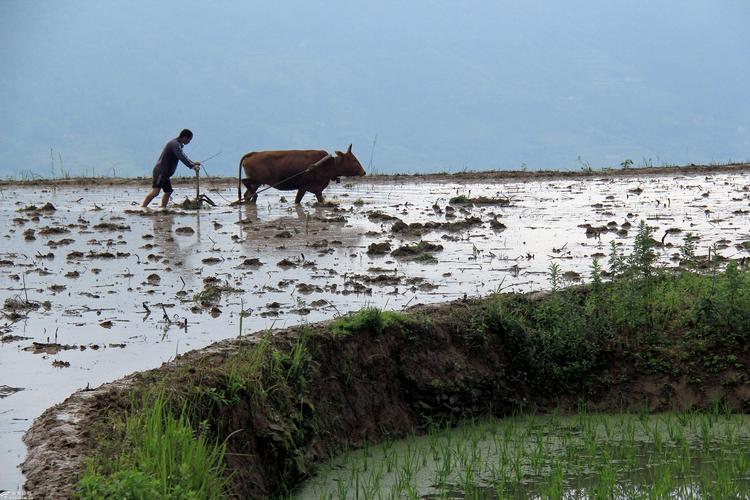 99%的中国人不知道什么是农历？“国学大师”真的越来越能忽悠了