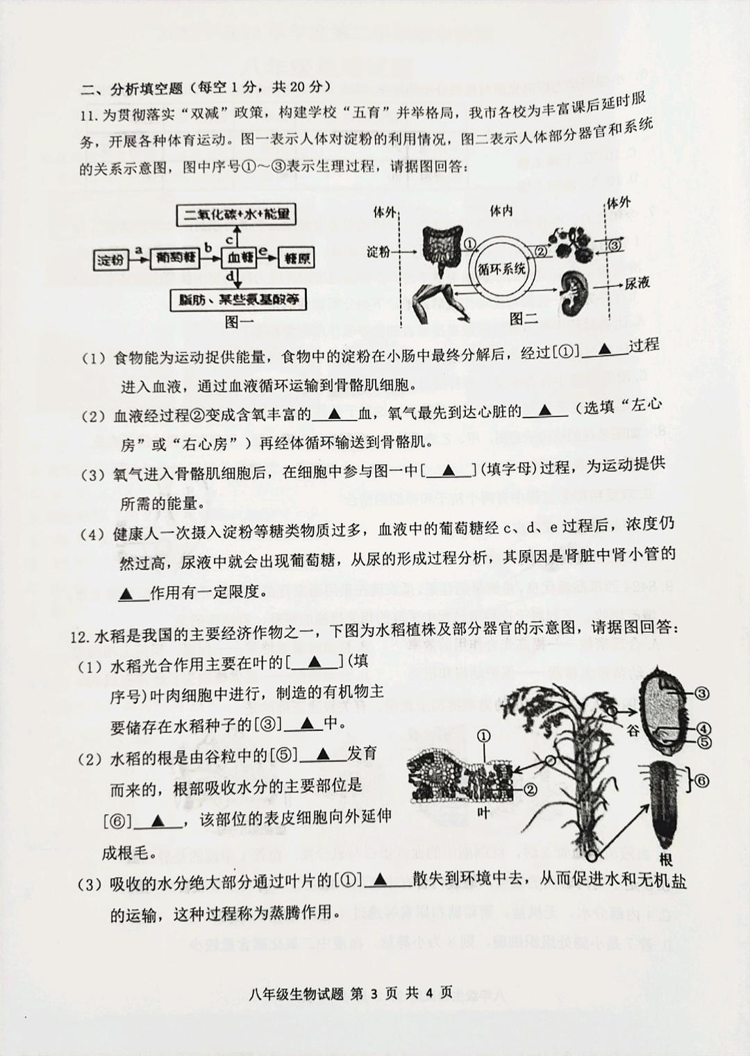 初中生物（会考/中考）学业水平考试试题（附答案）